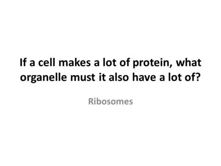 If a cell makes a lot of protein, what organelle must it also have a lot of? Ribosomes.