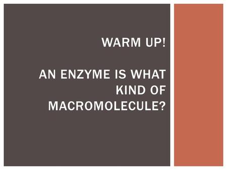 Warm up! An enzyme is what kind of macromolecule?