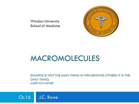 MACROMOLECULES EXAMPLE IS NOT THE MAIN THING IN INFLUENCING OTHERS. IT IS THE ONLY THING. ALBERT SCHWEITZER Ch.16 J.C. Rowe Windsor University School of.
