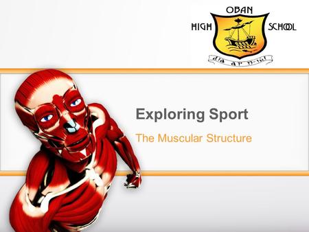 Exploring Sport The Muscular Structure. 3 Types of Muscle In the Human Body there are 3 different types of muscle. These are: Involuntary Muscles – Also.