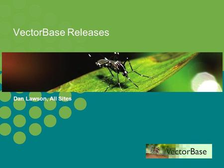 Dan Lawson, All Sites VectorBase Releases. 2 VectorBase 2012 A release cycle for VectorBase Regular release every 2 months In place since June 2010 Latest.