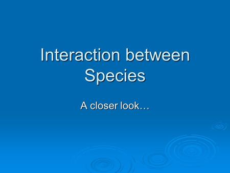 Interaction between Species A closer look…. First, a review  What is carrying capacity? How big a population can get while still being supported, having.
