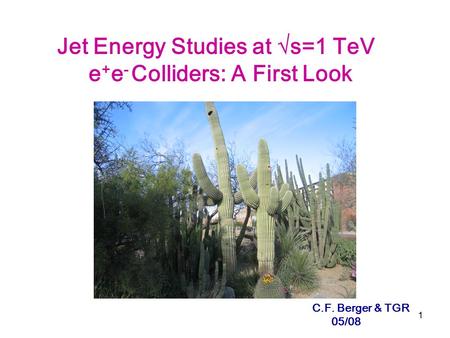 1 Jet Energy Studies at  s=1 TeV e + e - Colliders: A First Look C.F. Berger & TGR 05/08.