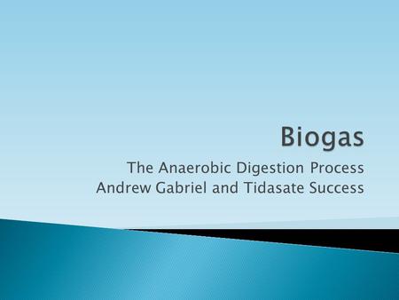 The Anaerobic Digestion Process Andrew Gabriel and Tidasate Success.