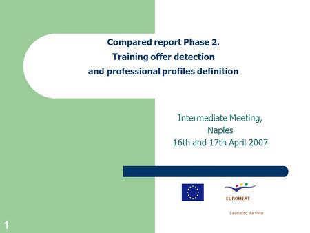 1 Compared report Phase 2. Training offer detection and professional profiles definition Intermediate Meeting, Naples 16th and 17th April 2007 EUROMEAT.