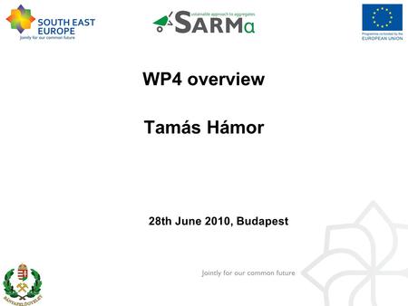 WP4 overview Tamás Hámor 28th June 2010, Budapest.