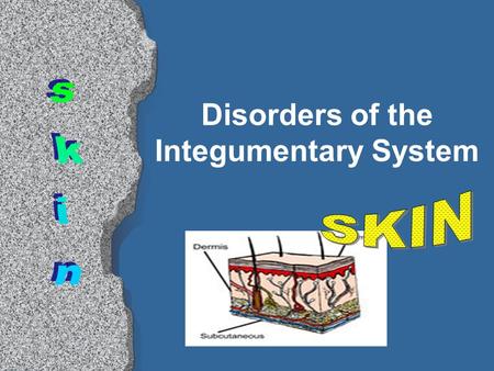 Disorders of the Integumentary System. ACNE Common and chronic disorder of sebaceous glands Sebum plugs pores  area fills with leukocytes Also – blackheads,