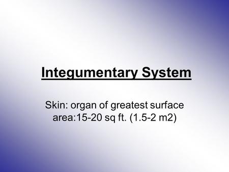 Integumentary System Skin: organ of greatest surface area:15-20 sq ft. (1.5-2 m2)