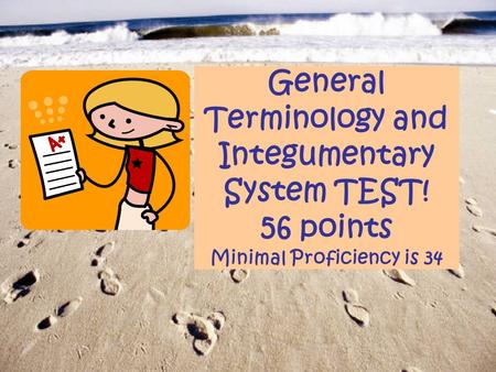 General Terminology and Integumentary System TEST! 56 points Minimal Proficiency is 34.