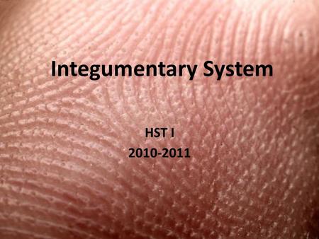Integumentary System HST I 2010-2011. Integumentary system (Skin) Considered to be both: (a) Membrane – covers the body (b) Organ – contains several types.
