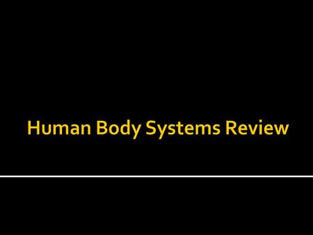 Human Body Systems Review