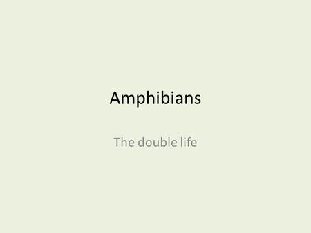 Amphibians The double life.