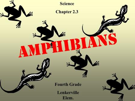 A m p h i b i a n s Science Chapter 2.3 Fourth Grade Lenkerville Elem.