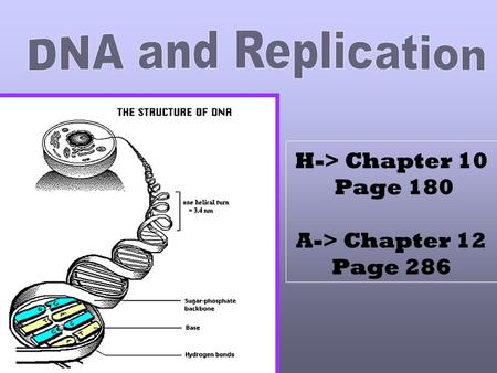 H-> Chapter 10 Page 180 A-> Chapter 12 Page 286 If you unwrap all the DNA you have in all your cells, you could reach the moon! 6000 times!!!