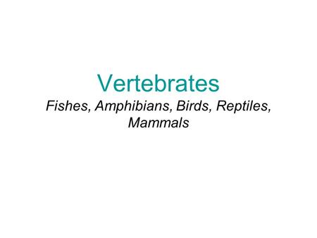Vertebrates Fishes, Amphibians, Birds, Reptiles, Mammals.