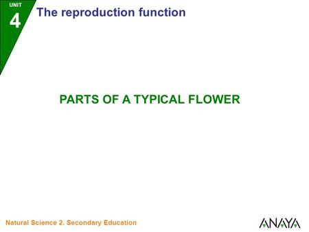 UNIT 4 The reproduction function Natural Science 2. Secondary Education PARTS OF A TYPICAL FLOWER.