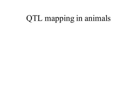 QTL mapping in animals. It works QTL mapping in animals It works It’s cheap.
