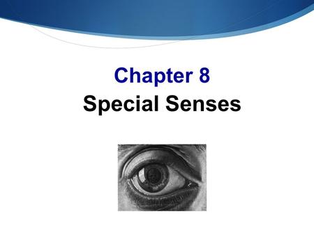 Chapter 8 Special Senses. The Senses  Special senses  Smell  Taste  SIGHT  Hearing  Equilibrium Lady website.