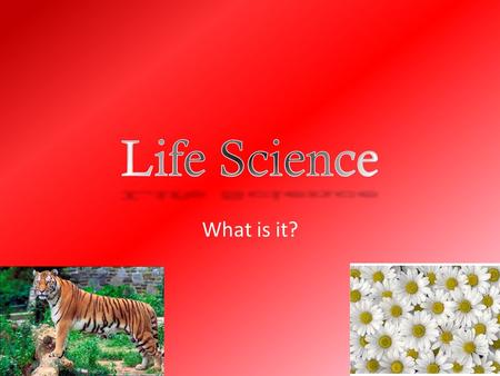 Life Science What is it?.