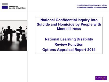 National Confidential Inquiry into Suicide and Homicide by People with Mental Illness National Learning Disability Review Function Options Appraisal Report.