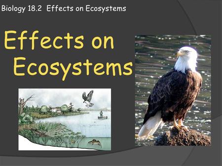 Biology 18.2 Effects on Ecosystems Effects on Ecosystems.