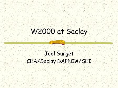 W2000 at Saclay Joël Surget CEA/Saclay DAPNIA/SEI.