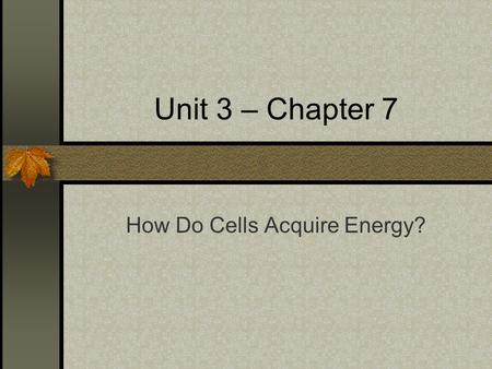 Unit 3 – Chapter 7 How Do Cells Acquire Energy?. I. Sunlight and Survival A.Autotrophs = self-nourishing B.Photoautotrophs = sunlight captured to drive.