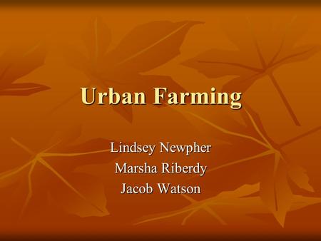 Urban Farming Lindsey Newpher Marsha Riberdy Jacob Watson.