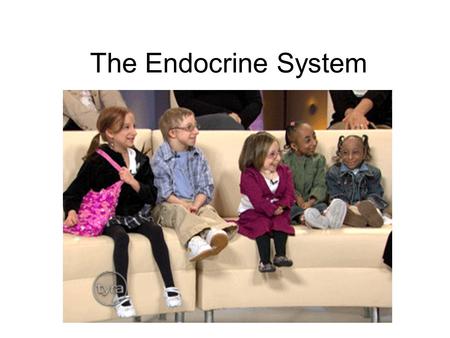 The Endocrine System. What is the system? 1. Made up of glands that produce and secrete hormones (chemical messengers) 2. Regulation of growth, metabolism,