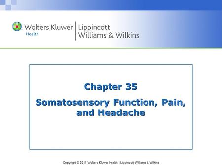 Copyright © 2011 Wolters Kluwer Health | Lippincott Williams & Wilkins Chapter 35 Somatosensory Function, Pain, and Headache.