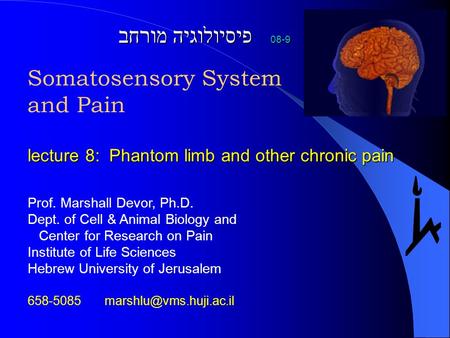 פיסיולוגיה מורחב 08-9 Somatosensory System and Pain