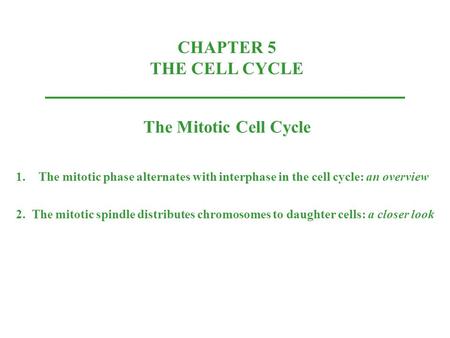 CHAPTER 5 THE CELL CYCLE The Mitotic Cell Cycle 1.The mitotic phase alternates with interphase in the cell cycle: an overview 2. The mitotic spindle distributes.