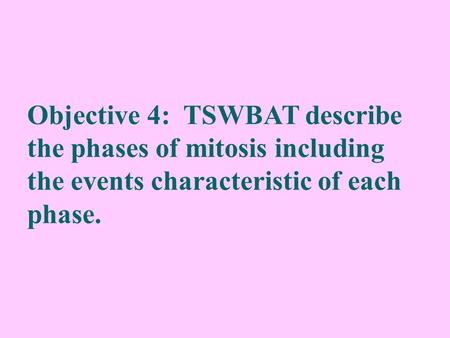 Objective 4: TSWBAT describe the phases of mitosis including the events characteristic of each phase.