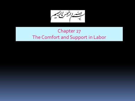 Chapter 27 The Comfort and Support in Labor. Factors influencing women`s perceptions and experience of labor  Biological factors  Psychological factors.