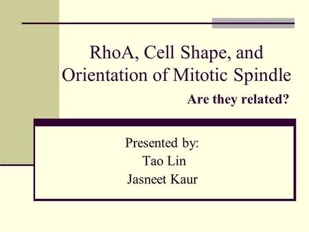 RhoA, Cell Shape, and Orientation of Mitotic Spindle Are they related? Presented by: Tao Lin Jasneet Kaur.