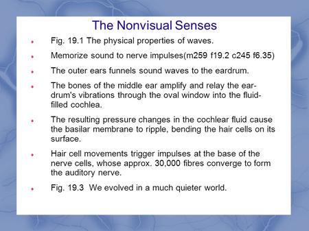 The Nonvisual Senses Fig. 19.1 The physical properties of waves. Memorize sound to nerve impulses(m259 f19.2 c245 f6.35) The outer ears funnels sound waves.