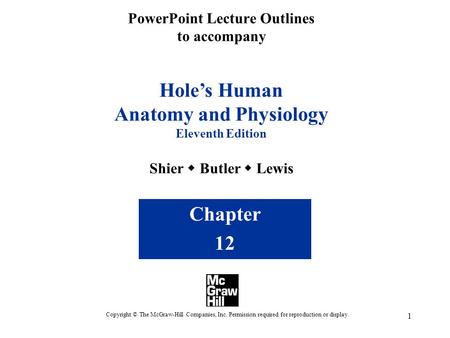 1 PowerPoint Lecture Outlines to accompany Hole’s Human Anatomy and Physiology Eleventh Edition Shier  Butler  Lewis Chapter 12 Copyright © The McGraw-Hill.