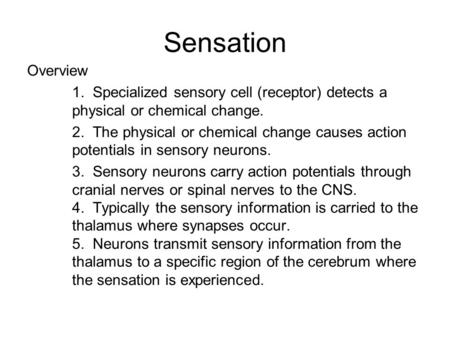 Sensation Overview 1. Specialized sensory cell (receptor) detects a physical or chemical change. 2. The physical or chemical change causes action potentials.