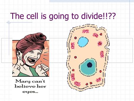 The cell is going to divide!!??. www.bioweb.uncc.edu/biol1110/stages. htm www.biology.arizona.edu/cell_bio/tutori als/cell_cycle/cells1.html science.nhmccd.edu/biol/mitosis/pmitos.