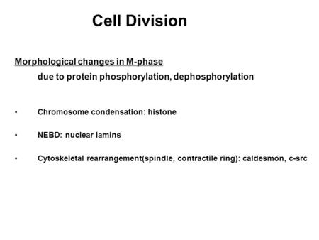Cell Division due to protein phosphorylation, dephosphorylation