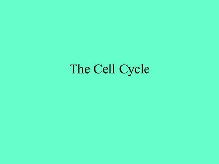 The Cell Cycle. What is the life cycle of a cell? Is it like this? –Birth –Growth & development –Reproduction –Deterioration & Death Or is it like this?