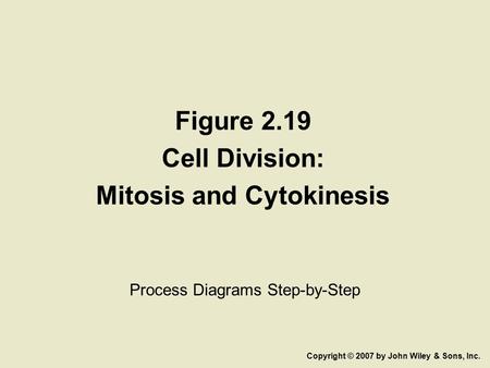 Figure 2.19 Cell Division: Mitosis and Cytokinesis Process Diagrams Step-by-Step Copyright © 2007 by John Wiley & Sons, Inc.