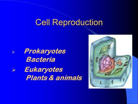 Cell Reproduction  Prokaryotes Bacteria  Eukaryotes Plants & animals.