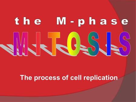The process of cell replication Genes and Proteins  Proteins do the work of the cell: growth, maintenance, response to the environment, reproduction,