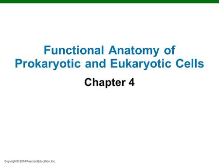 Copyright © 2010 Pearson Education, Inc. Functional Anatomy of Prokaryotic and Eukaryotic Cells Chapter 4.