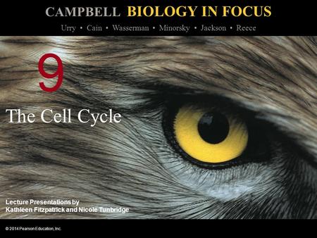 9 The Cell Cycle.