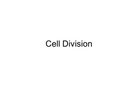 Cell Division.