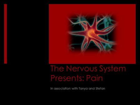 The Nervous System Presents: Pain In association with Tanya and Stefan.