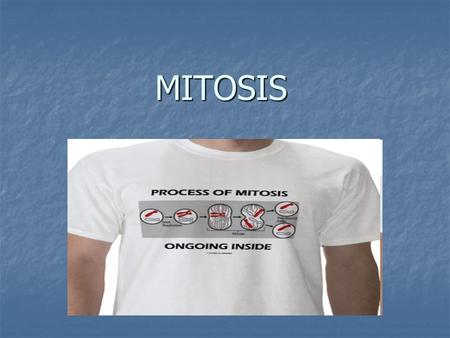 MITOSIS. The Cell Cycle Interphase: in between stages of dividing in between stages of dividing G1—beginning cell growth G1—beginning cell growth S—DNA.