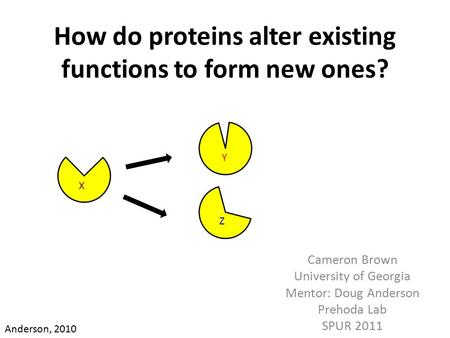 How do proteins alter existing functions to form new ones? Cameron Brown University of Georgia Mentor: Doug Anderson Prehoda Lab SPUR 2011 X Y Z Anderson,